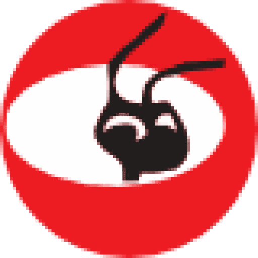 Dedant Building and Pest Inspections