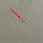 Poor finish to concrete Poor finish to concrete