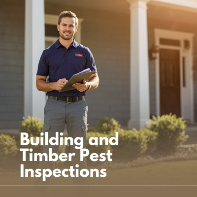 Building and pest inspector