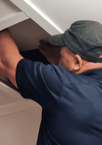what's included in building and pest