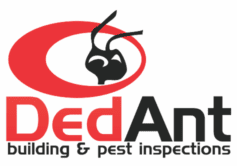 Logo - Dedant Building and Pest Inspections